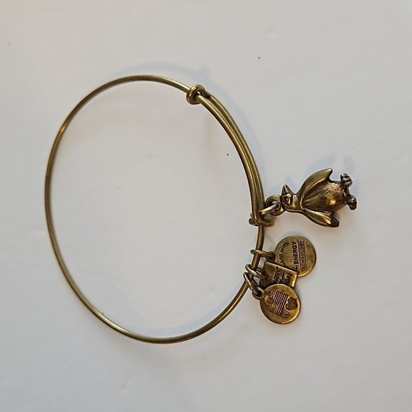 3 ALEX AND ANI Charm Bracelets - Picture 5 of 10